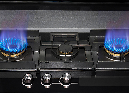 Gas range
